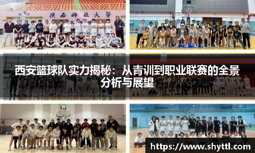 球速体育平台登录入口