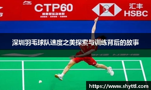 球速体育平台登录入口