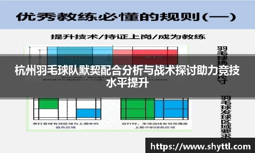 球速体育官方