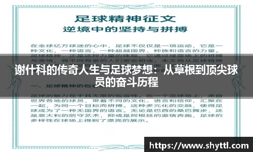 球速体育平台登录入口