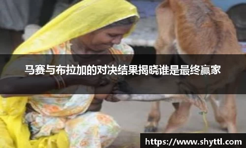 球速体育官方